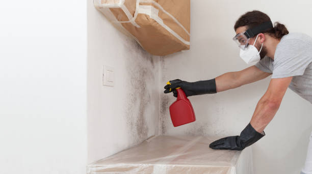 Professional Bathroom Mold Removal technician working in Garrett Park, MD