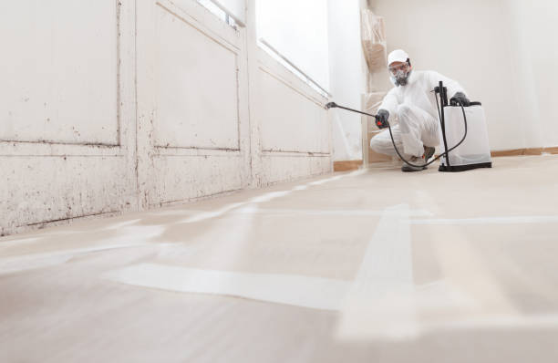 24/7 Emergency Bathroom Mold Removal experts in Garrett Park, MD